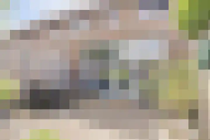 Vrederiksakker 4 Heerhugowaard thumbnail 49