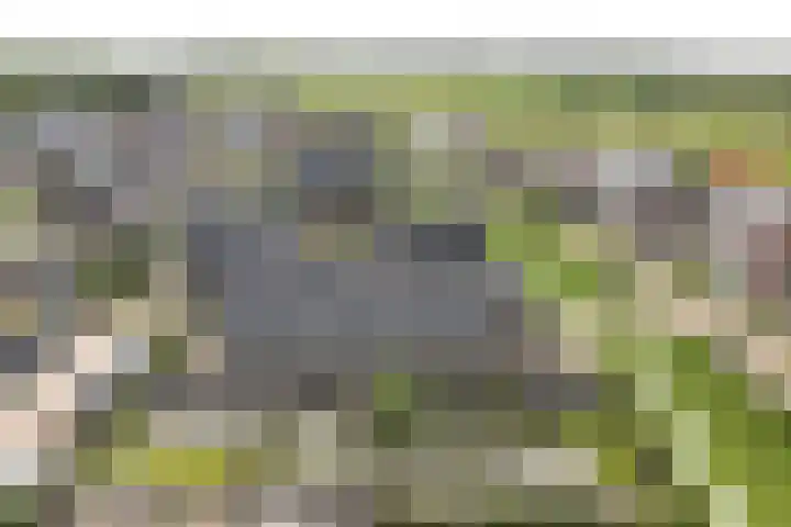 Vrederiksakker 4 Heerhugowaard thumbnail 51