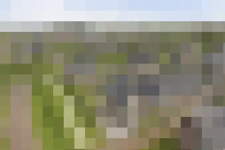 Vrederiksakker 4 Heerhugowaard thumbnail 53