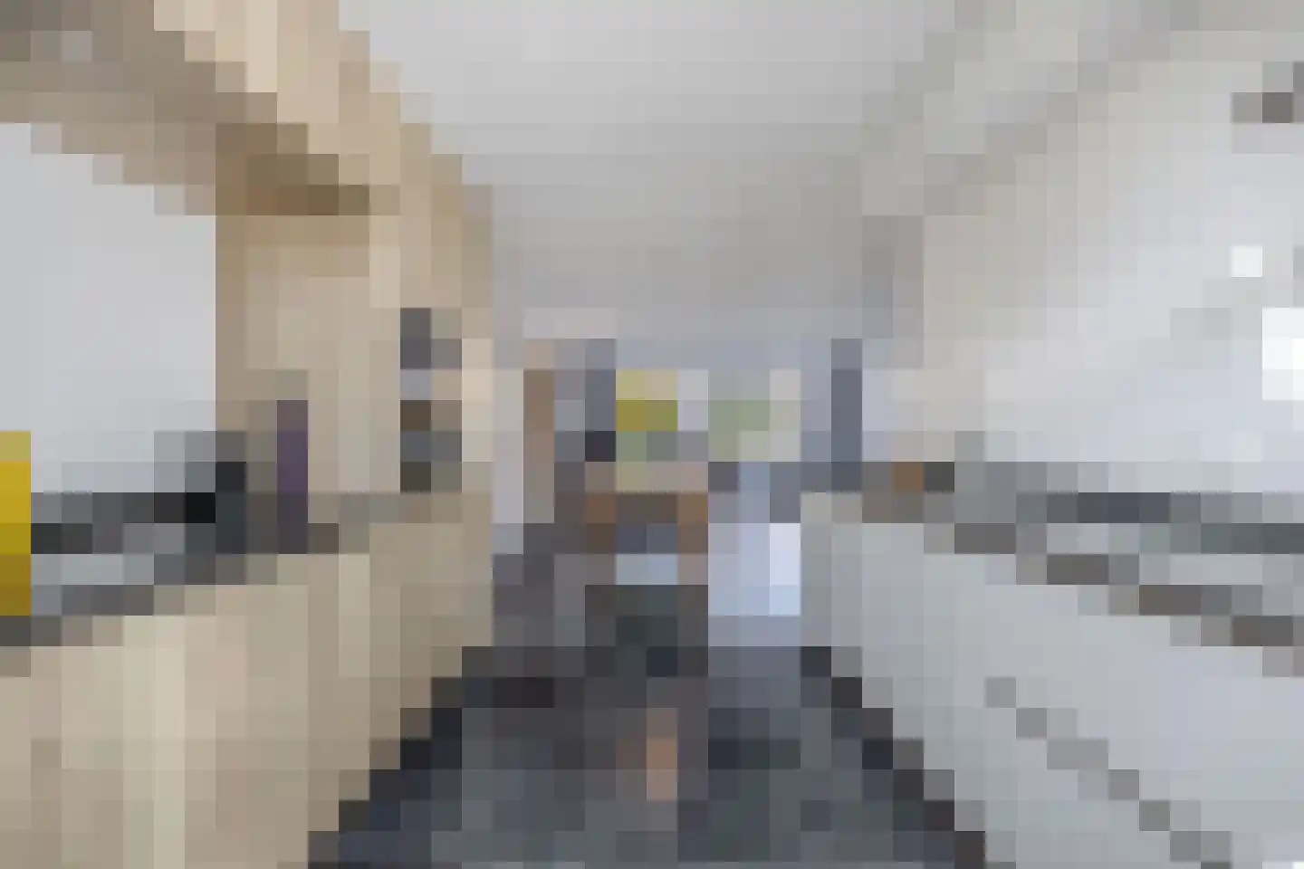Vrederiksakker 58 Heerhugowaard thumbnail 19