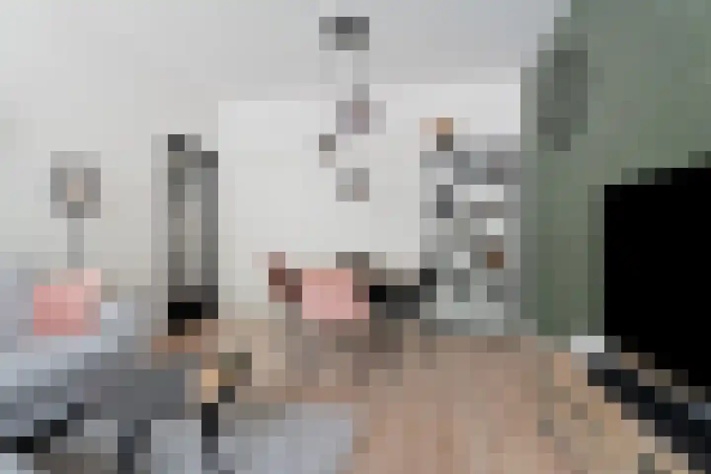 Vrederustlaan 14 Den Haag thumbnail 12
