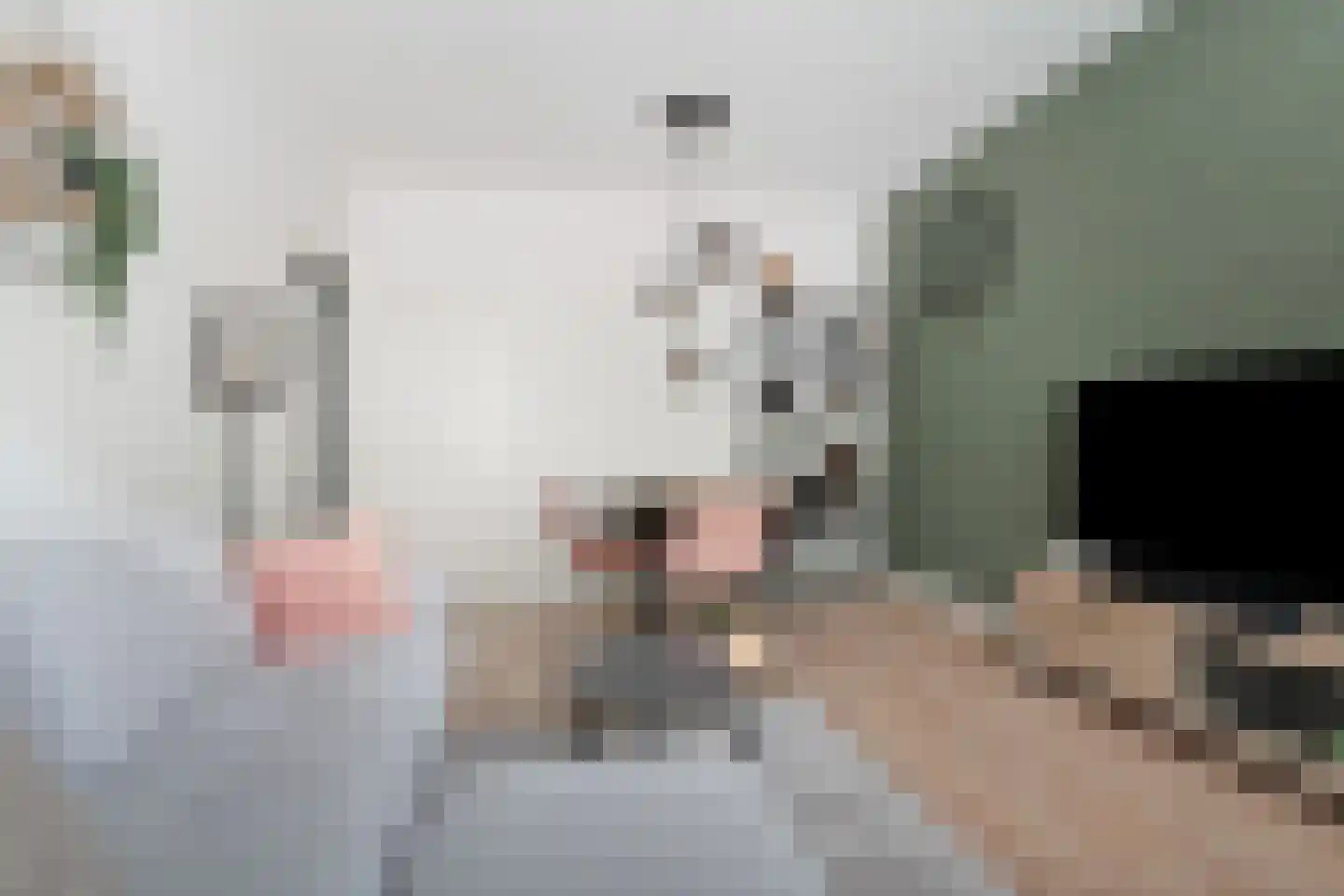 Vrederustlaan 14 Den Haag thumbnail 13