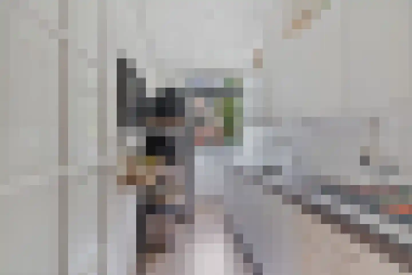 Vrederustlaan 14 Den Haag thumbnail 15