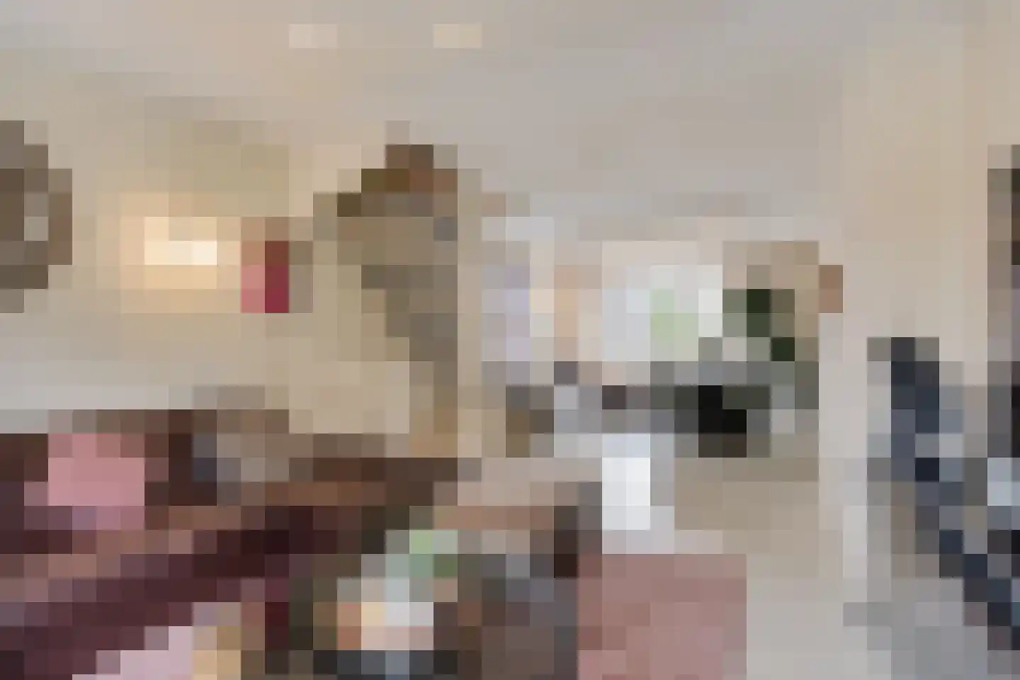 Vrederustlaan 267 Den Haag thumbnail 37