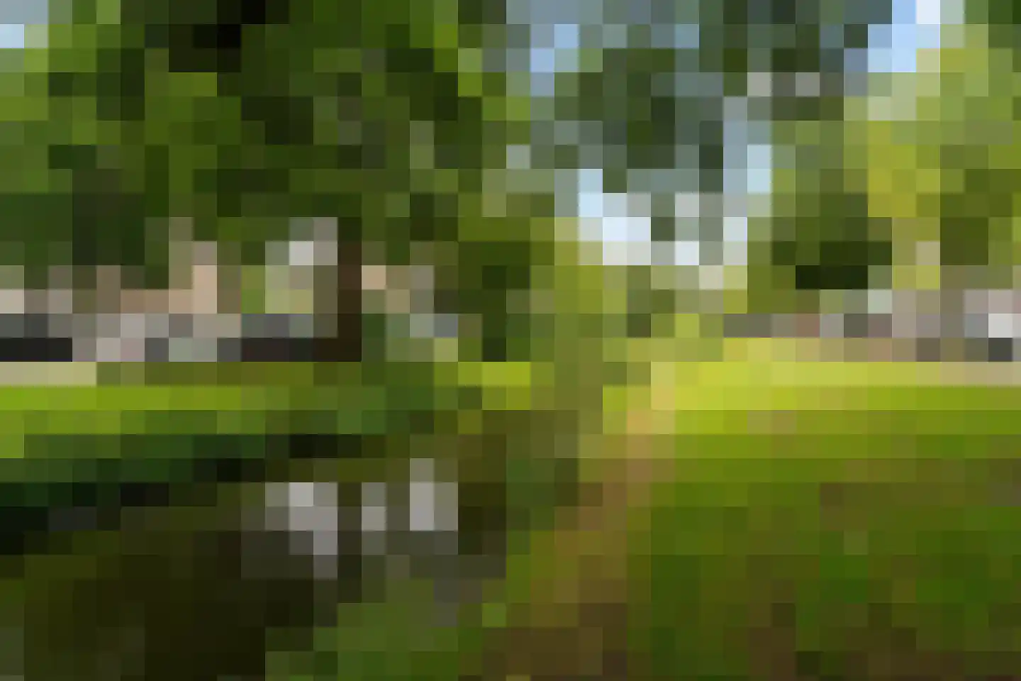 Vrederustlaan 267 Den Haag thumbnail 59