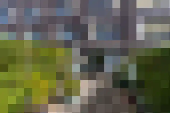 Vrederustlaan 281 Den Haag thumbnail 17