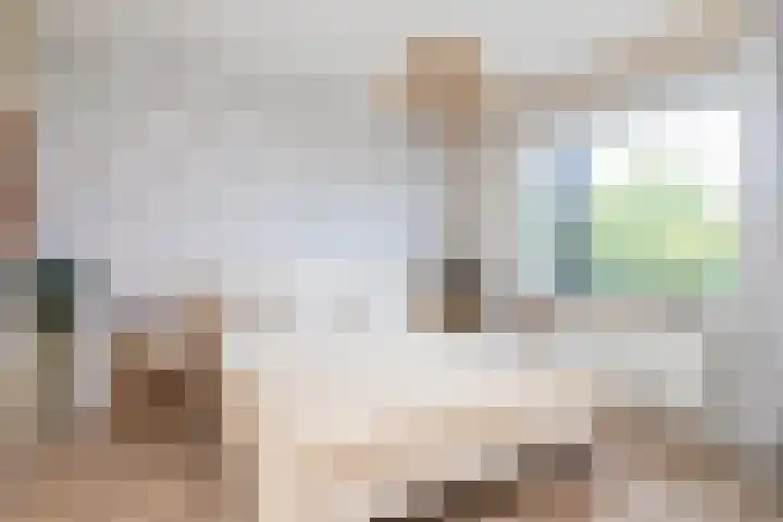 Vrederustlaan 281 Den Haag thumbnail 36