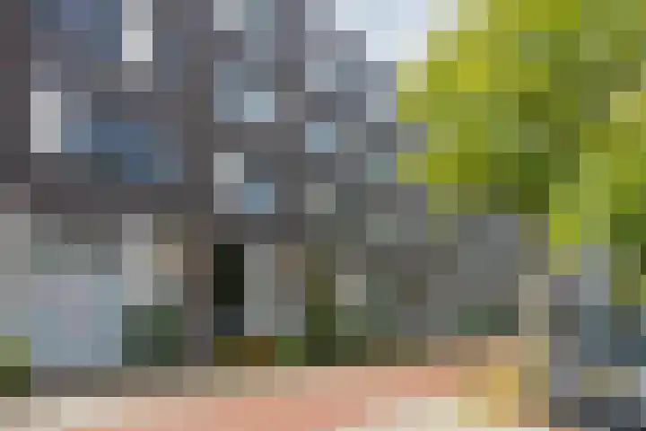 Vrederustlaan 281 Den Haag thumbnail 42