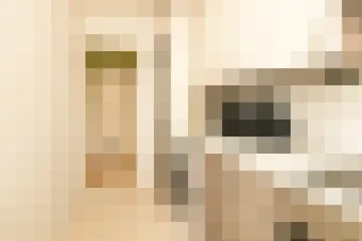 Vrederustlaan 62 Den Haag thumbnail 11