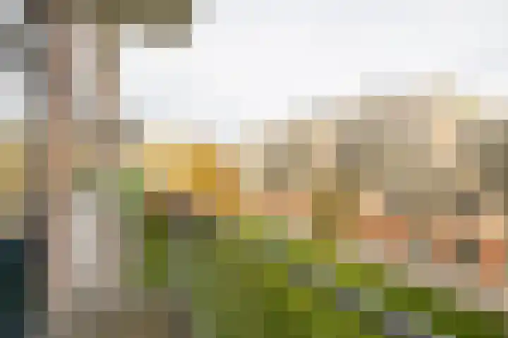 Vrederustlaan 62 Den Haag thumbnail 20