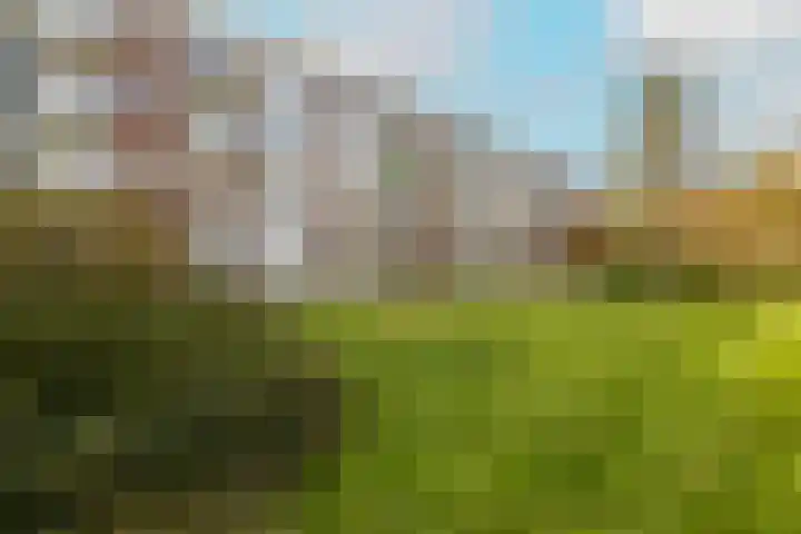 Vrederustlaan 62 Den Haag thumbnail 29