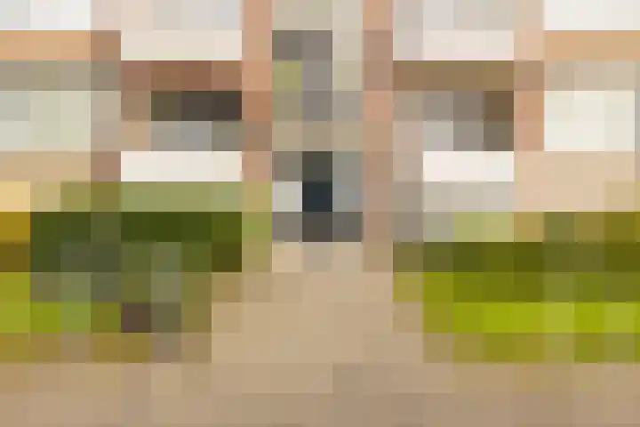 Vrederustlaan 62 Den Haag thumbnail 5