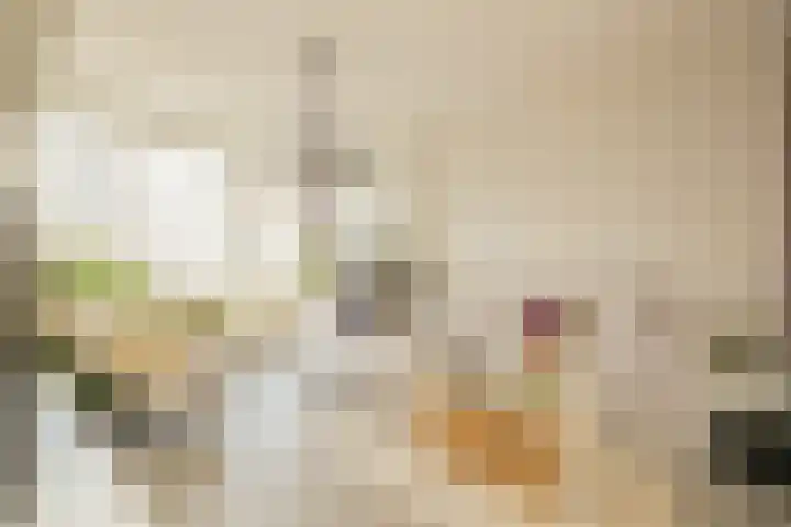 Vrederustlaan 62 Den Haag thumbnail 7