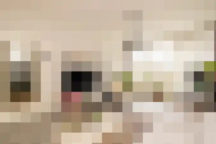 Vrederustlaan 62 Den Haag thumbnail 8
