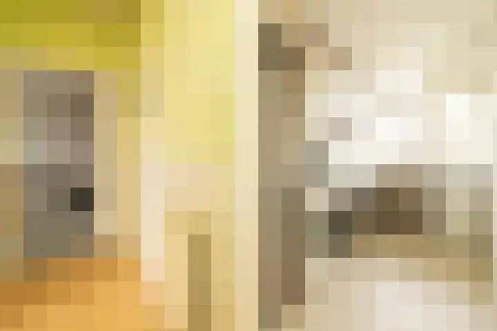Vrederustlaan 62 Den Haag thumbnail 9