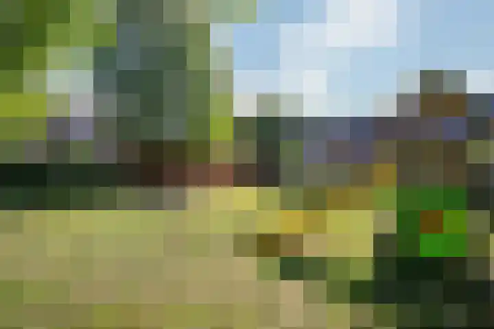 Vredeshofje 11 Kerkrade thumbnail 14