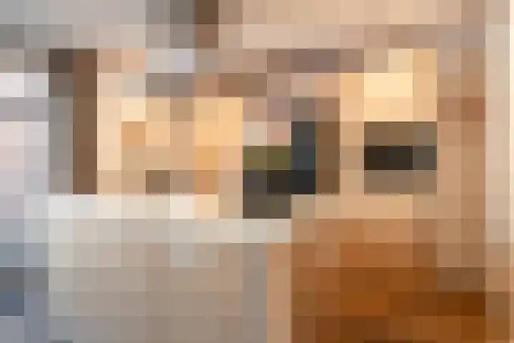 Vredeshofje 11 Kerkrade thumbnail 9