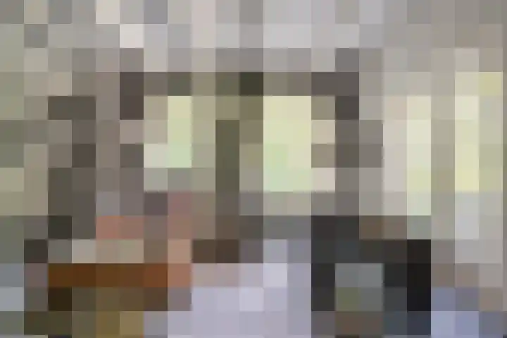 Vredeslaan 1 Frederiksoord thumbnail 11