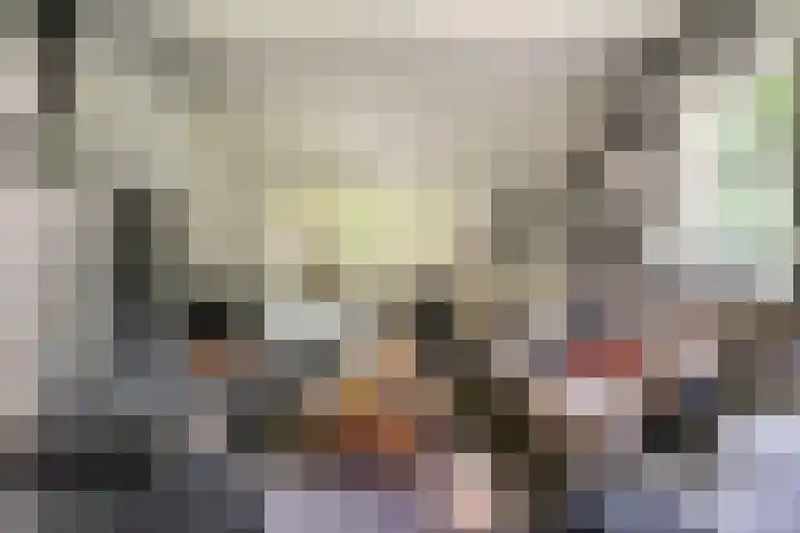 Vredeslaan 1 Frederiksoord thumbnail 13