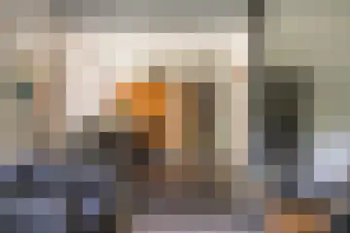 Vredeslaan 1 Frederiksoord thumbnail 14
