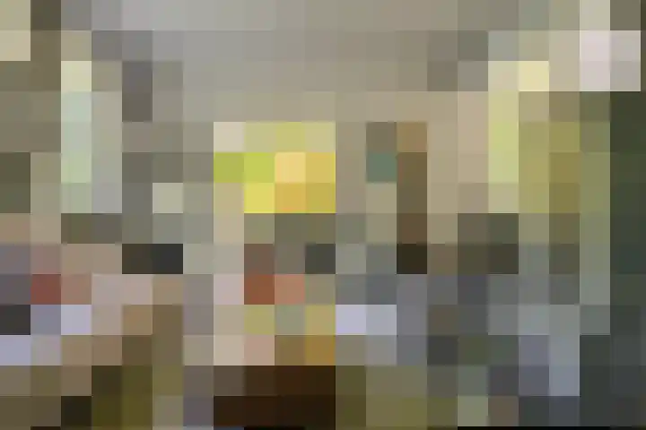Vredeslaan 1 Frederiksoord thumbnail 15