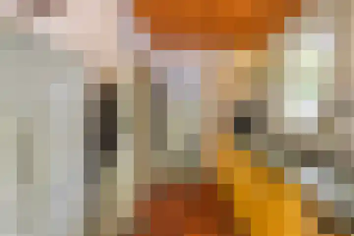 Vredeslaan 1 Frederiksoord thumbnail 17
