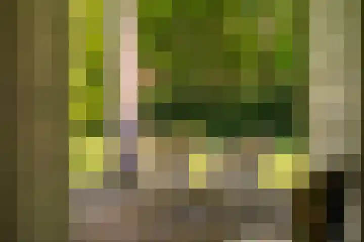 Vredeslaan 1 Frederiksoord thumbnail 22