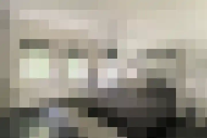 Vredeslaan 1 Frederiksoord thumbnail 23