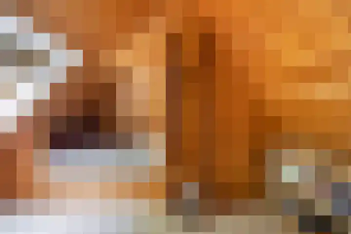 Vredeslaan 1 Frederiksoord thumbnail 31