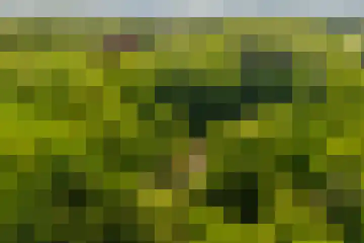 Vredeslaan 1 Frederiksoord thumbnail 34