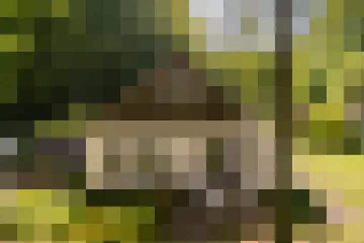 Vredeslaan 1 Frederiksoord thumbnail 36