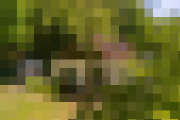 Vredeslaan 1 Frederiksoord thumbnail 37
