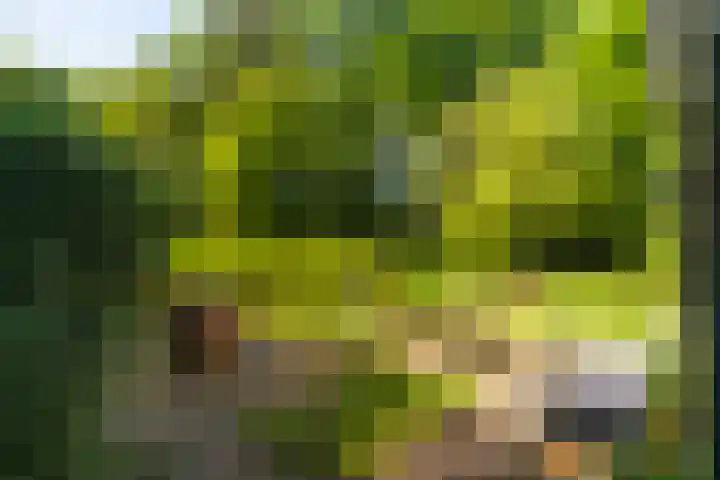 Vredeslaan 1 Frederiksoord thumbnail 39