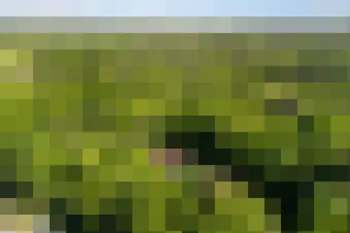Vredeslaan 1 Frederiksoord thumbnail 4