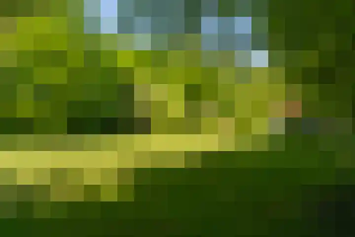 Vredeslaan 1 Frederiksoord thumbnail 41