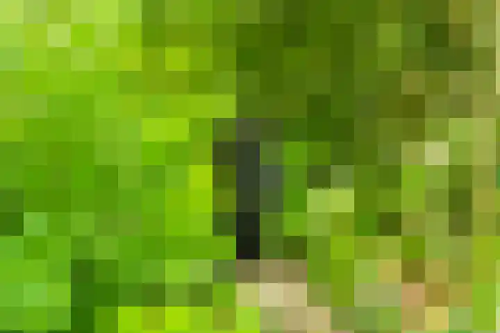 Vredeslaan 1 Frederiksoord thumbnail 42