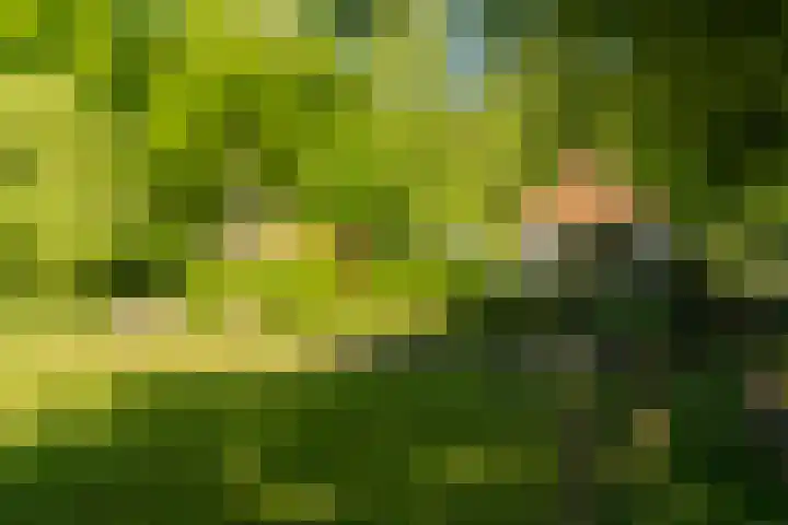 Vredeslaan 1 Frederiksoord thumbnail 43