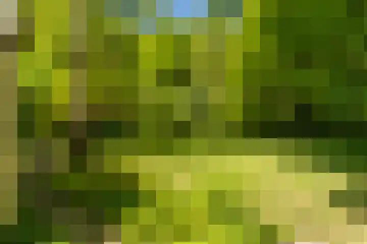 Vredeslaan 1 Frederiksoord thumbnail 44