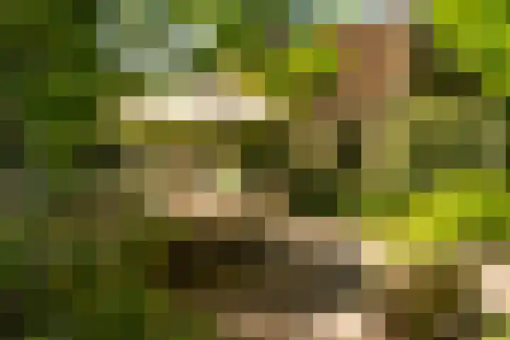 Vredeslaan 1 Frederiksoord thumbnail 45