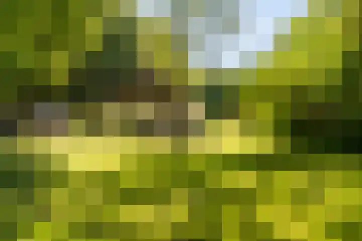Vredeslaan 1 Frederiksoord thumbnail 46