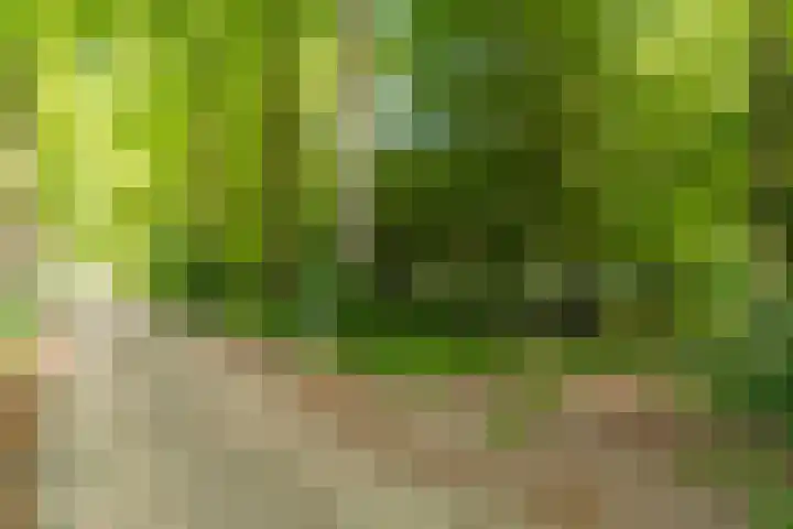 Vredeslaan 1 Frederiksoord thumbnail 5