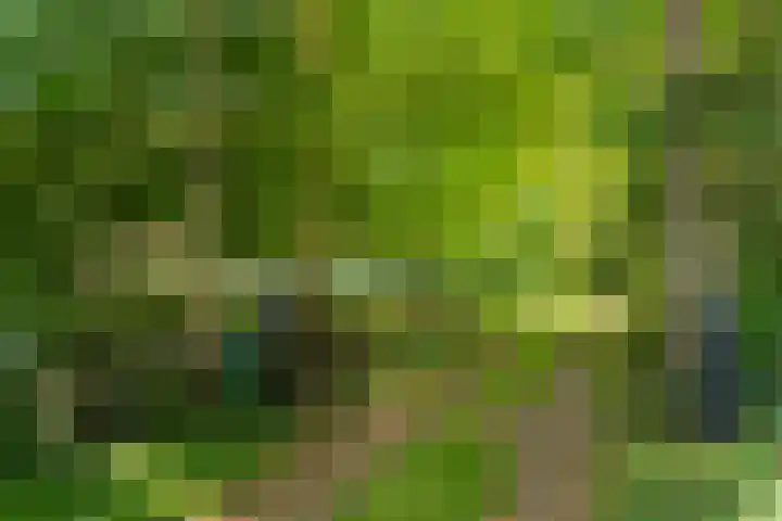 Vredeslaan 1 Frederiksoord thumbnail 6