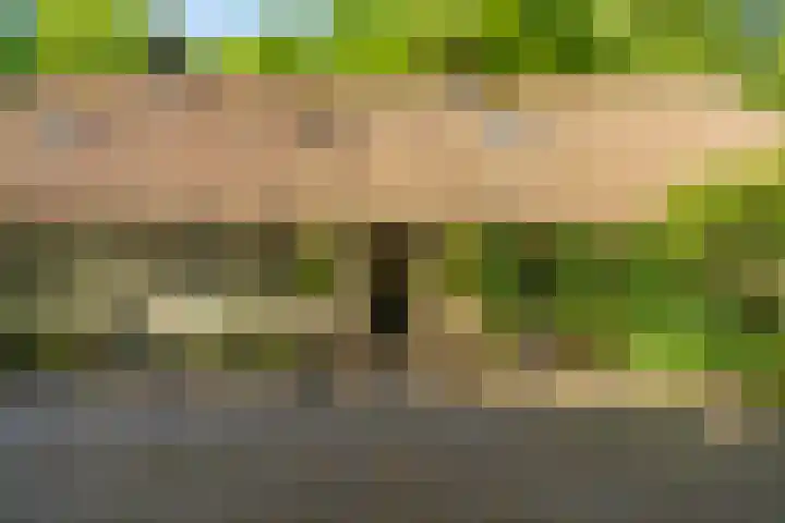 Vredeslaan 1 Frederiksoord thumbnail 7