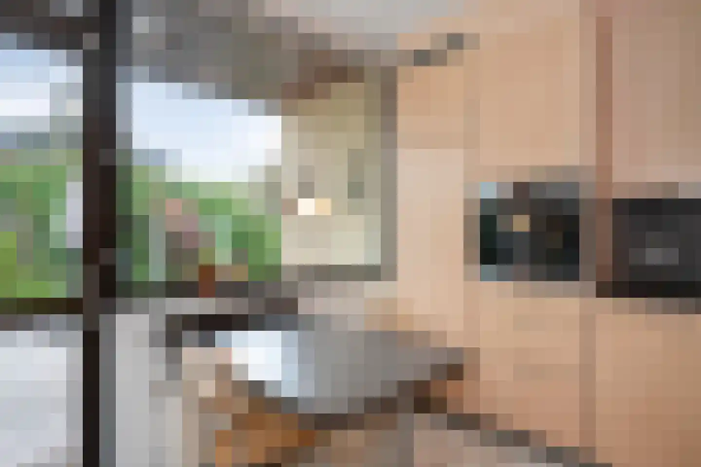Vredeslaan 28 Limbricht thumbnail 14