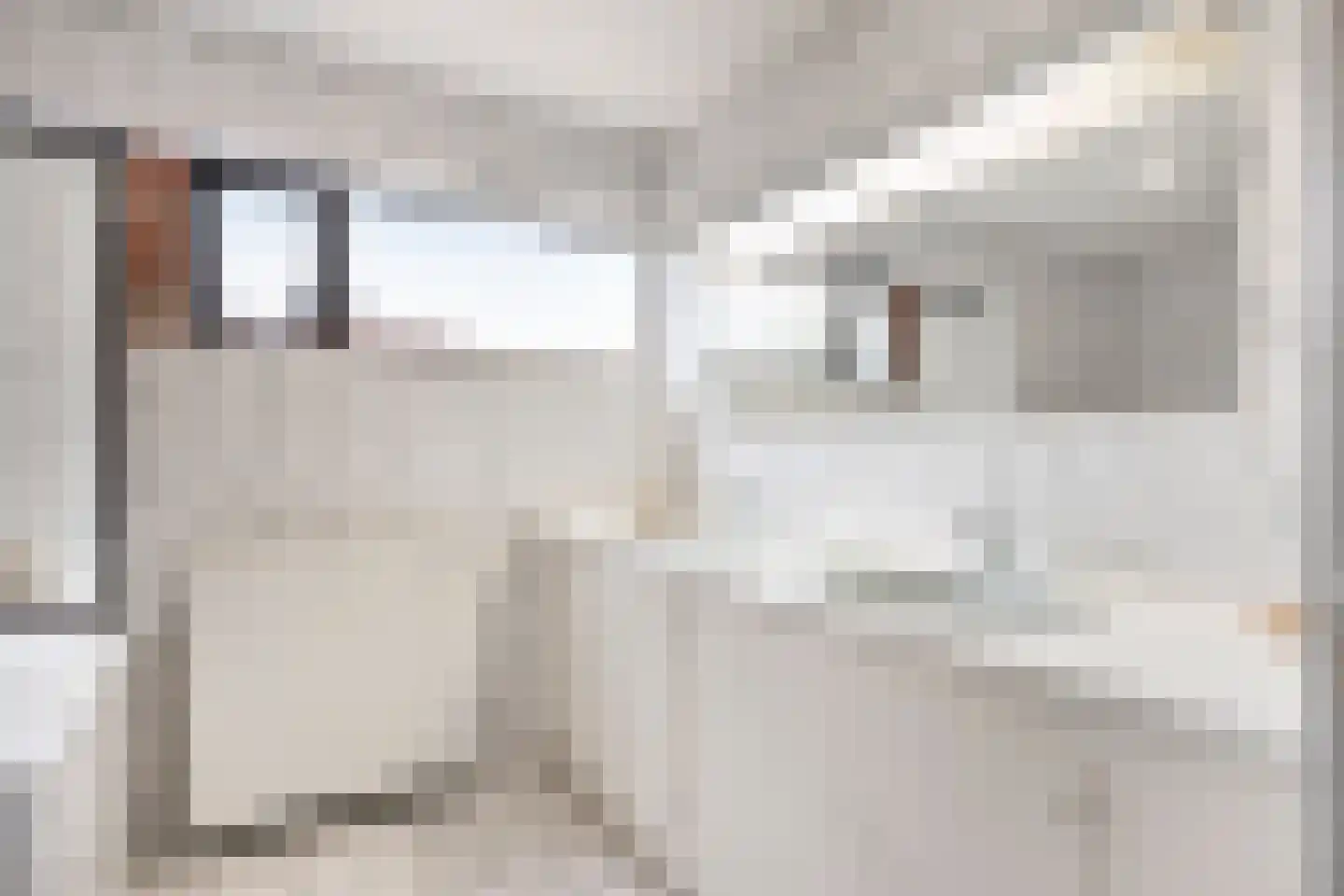 Vredeslaan 28 Limbricht thumbnail 20