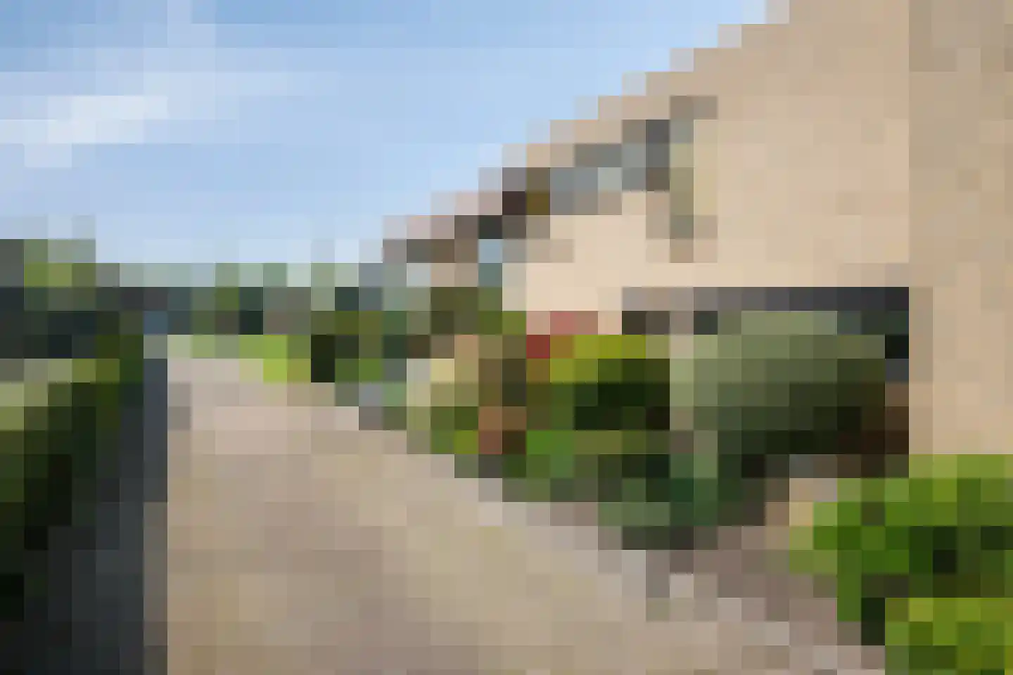 Vredeslaan 28 Limbricht thumbnail 33
