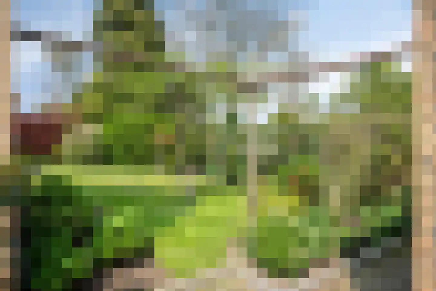 Vredeslaan 28 Limbricht thumbnail 34