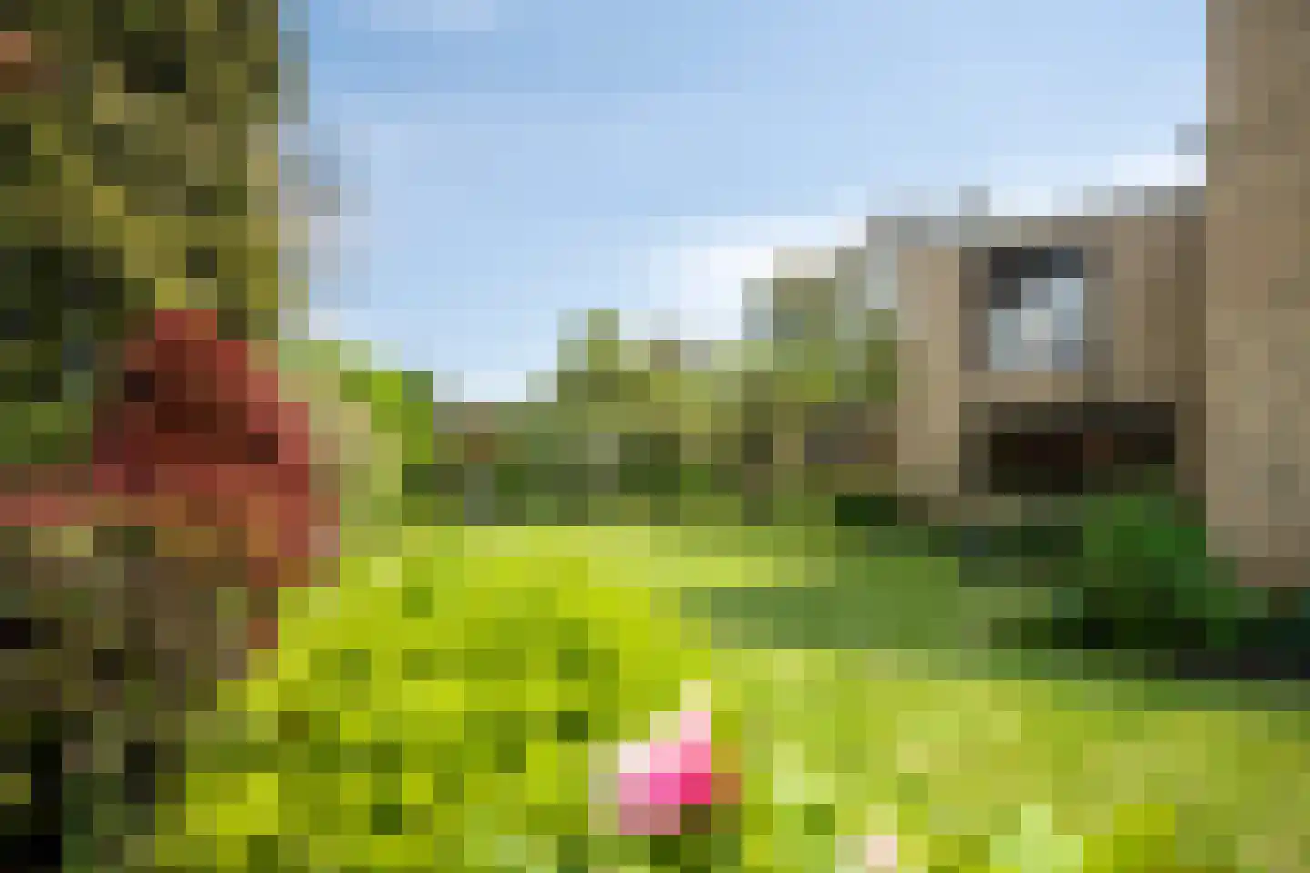 Vredeslaan 28 Limbricht thumbnail 36