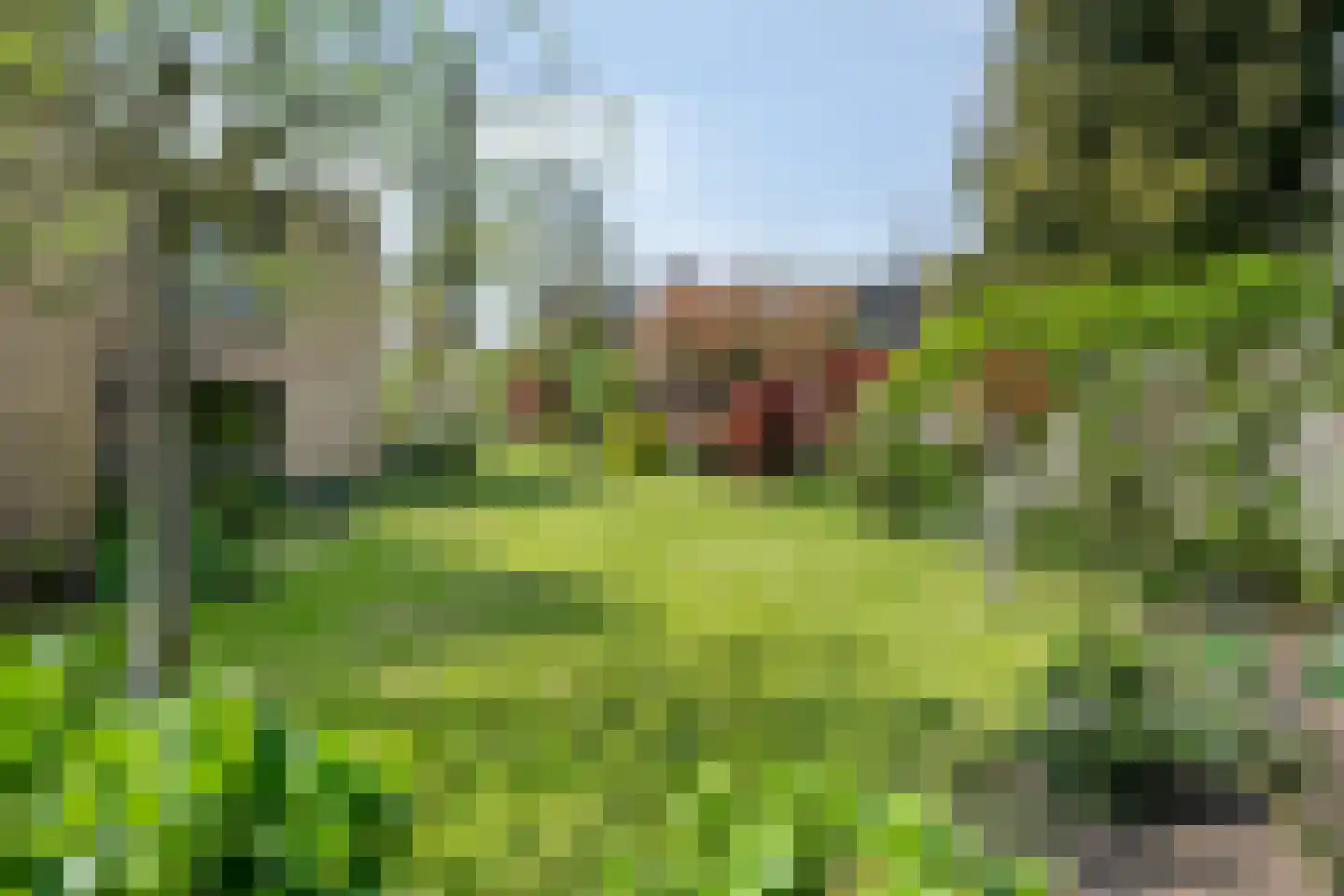 Vredeslaan 28 Limbricht thumbnail 5