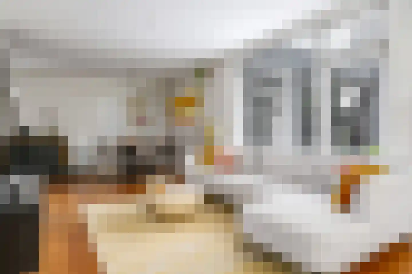 Vredesplein 4 Oosterhout thumbnail 18